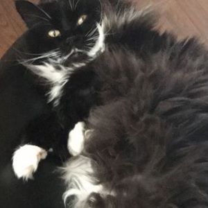 Meet your Posher, Aziz